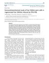 Immunohistochemical Study of Hair Follicle Stem Cells in Regenerated Hair Follicles Induced by Wnt10b