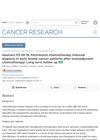 Permanent Chemotherapy-Induced Alopecia in Early Breast Cancer Patients After (Neo)Adjuvant Chemotherapy: Long-Term Follow-Up