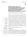 ADM Scaffolds Generate a Pro-Regenerative Microenvironment During Full-Thickness Cutaneous Wound Healing Through M2 Macrophage Polarization via Lamtor1