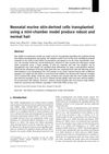 Neonatal Murine Skin-Derived Cells Transplanted Using a Mini-Chamber Model Produce Robust and Normal Hair