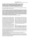 Transient Mitochondrial DNA Double Strand Breaks in Mice Cause Accelerated Aging Phenotypes in a ROS-Dependent but p53/p21-Independent Manner