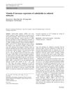 Vitamin D Increases Expression of Cathelicidin in Cultured Sebocytes