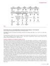 Corrections to 'Female Pattern Hair Loss and Its Relationship to Permanent/Cicatricial Alopecia: A New Perspective'