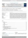 The Role of R-Spondins and Their Receptors in Bone Metabolism