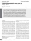Fibroblast Heterogeneity: Implications for Human Disease