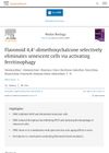 Flavonoid 4,4'-Dimethoxychalcone Selectively Eliminates Senescent Cells Via Activating Ferritinophagy