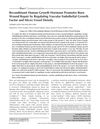 Recombinant Human Growth Hormone Promotes Burn Wound Repair by Regulating Vascular Endothelial Growth Factor and Microvessel Density