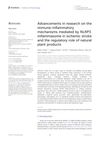 Advancements in Research on the Immune-Inflammatory Mechanisms Mediated by NLRP3 Inflammasome in Ischemic Stroke and the Regulatory Role of Natural Plant Products