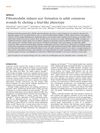 Fibromodulin Reduces Scar Formation in Adult Cutaneous Wounds by Eliciting a Fetal-Like Phenotype