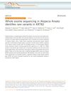 Whole Exome Sequencing in Alopecia Areata Identifies Rare Variants in KRT82