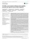 KY19382, A Novel Activator of Wnt/β-Catenin Signalling, Promotes Hair Regrowth and Hair Follicle Neogenesis
