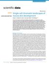 Single-Cell Chromatin Landscapes of Mouse Skin Development