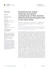 Deciphering the Cellular Landscape and Genetic Underpinnings of Fiber Diameter Determined by Dermal Papilla Cells in Fine-Wool Sheep