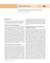 Pathophysiology of Burn Scars