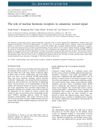 The Role of Nuclear Hormone Receptors in Cutaneous Wound Repair