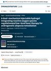 A Dual-Mechanism Injectable Hydrogel Integrating Reactive Oxygen Species Regulation and Low-Level Laser Therapy for Androgenetic Alopecia Remediation