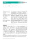 RANK as a Therapeutic Target in Cancer