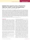 Epithelial Wnt Ligand Secretion Is Required for Adult Hair Follicle Growth and Regeneration