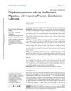 Dihydrotestosterone Induces Proliferation, Migration, and Invasion of Human Glioblastoma Cell Lines