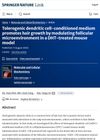 Tolerogenic Dendritic Cell-Conditioned Medium Promotes Hair Growth by Modulating Follicular Microenvironment in a DHT-Treated Mouse Model