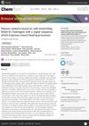 Release Systems Based on Self-Assembling RADA16-I Hydrogels With a Signal Sequence Which Improves Wound Healing Processes