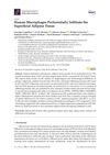 Human Macrophages Preferentially Infiltrate the Superficial Adipose Tissue