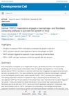 Dermal TRPV1 Innervations Engage a Macrophage- and Fibroblast-Containing Pathway to Activate Hair Growth in Mice