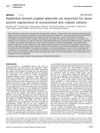 Epidermal-Dermal Coupled Spheroids Are Important for Tissue Pattern Regeneration in Reconstituted Skin Explant Cultures