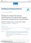 Polyphenol-Mediated Biomimetic Mineralization of Sacrificial Metal-Organic Framework Nanoparticles for Wound Healing