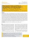 Body Composition Changes and Inhibition of Fat Development In Vivo Implicate Androgen in Regulation of Stem Cell Lineage Allocation
