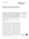 The Patch Assay Reconstitutes Mature Hair Follicles by Culture-Expanded Human Cells