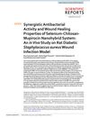Synergistic Antibacterial Activity and Wound Healing Properties of Selenium-Chitosan-Mupirocin Nanohybrid System: An In Vivo Study on Rat Diabetic Staphylococcus Aureus Wound Infection Model