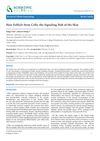 Hair Follicle Stem Cells: The Signaling Hub of the Skin