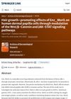 Hair Growth-Promoting Effects of Enz MoriL on Human Dermal Papilla Cells Through Modulation of the Wnt/β-Catenin and JAK-STAT Signaling Pathways