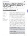 Skin Expression of Mammalian Target of Rapamycin and Forkhead Box Transcription Factor O1, and Serum Insulin-Like Growth Factor-1 in Patients with Acne Vulgaris and Their Relationship with Diet