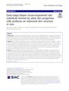 Early-Stage Bilayer Tissue-Engineered Skin Substitute Formed by Adult Skin Progenitor Cells Produces an Improved Skin Structure In Vivo