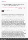 Role of ASLNC168501 in Regulating Hair Follicle Stem Cell Activity via the AR/miR-128-3p/IGF-1 Pathway