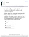 An Analysis of Gene Expression Data Involving Examination of Signaling Pathways Activation Reveals New Insights into the Mechanism of Action of Minoxidil Topical Foam in Men with Androgenetic Alopecia