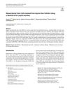 Mesenchymal Stem Cells Isolated From Equine Hair Follicles Using A Method Of Air-Liquid Interface