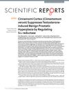 Cinnamomi Cortex (Cinnamomum Verum) Suppresses Testosterone-Induced Benign Prostatic Hyperplasia by Regulating 5α-Reductase