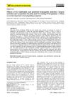 Efficacy of Two Traditionally Used Potentized Homeopathic Medicines, Calcarea Carbonica and Lycopodium Clavatum, Used for Treating PCOS Patients: Effects on Certain Important External Guiding Symptoms