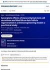 Synergistic Effects of Mesenchymal Stem Cell Secretome and Wnt10b on Hair Follicle Regeneration in a 3D Bioengineering Model: A Preclinical Study