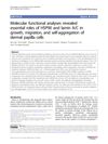 Molecular Functional Analyses Revealed Essential Roles of HSP90 and Lamin A/C in Growth, Migration, and Self-Aggregation of Dermal Papilla Cells