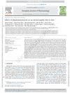 Effects of Dihydrotestosterone on Rat Dermal Papilla Cells In Vitro