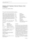 Hedgehog And Gli Signaling In Embryonic Mammary Gland Development