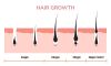 2026 Official Beginner&rsquo;s Guide for &ldquo;I&rsquo;m losing my hair, what can I do?&rdquo;