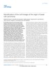 Identification of the Cell Lineage at the Origin of Basal Cell Carcinoma