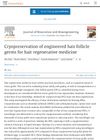 Cryopreservation Of Engineered Hair Follicle Germs For Hair Regenerative Medicine