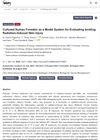 Cultured Human Foreskin as a Model System for Evaluating Ionizing Radiation-Induced Skin Injury
