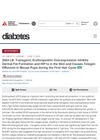 Transgenic Erythropoietin Overexpression Inhibits Dermal Fat Formation and HIF1a in the Skin and Causes Telogen Effluvium in Mouse Pups During the First Hair Cycle
